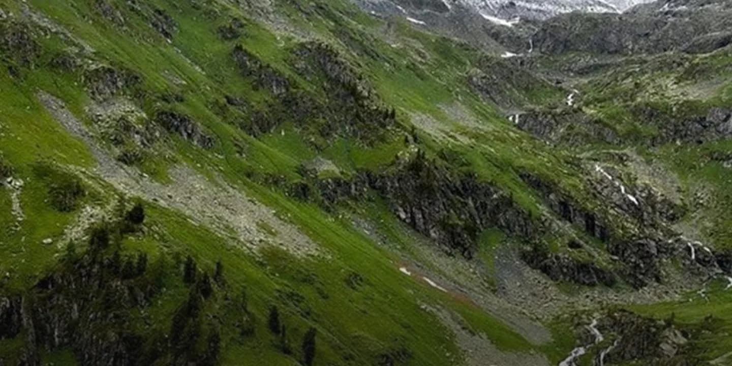 Катунский заповедник